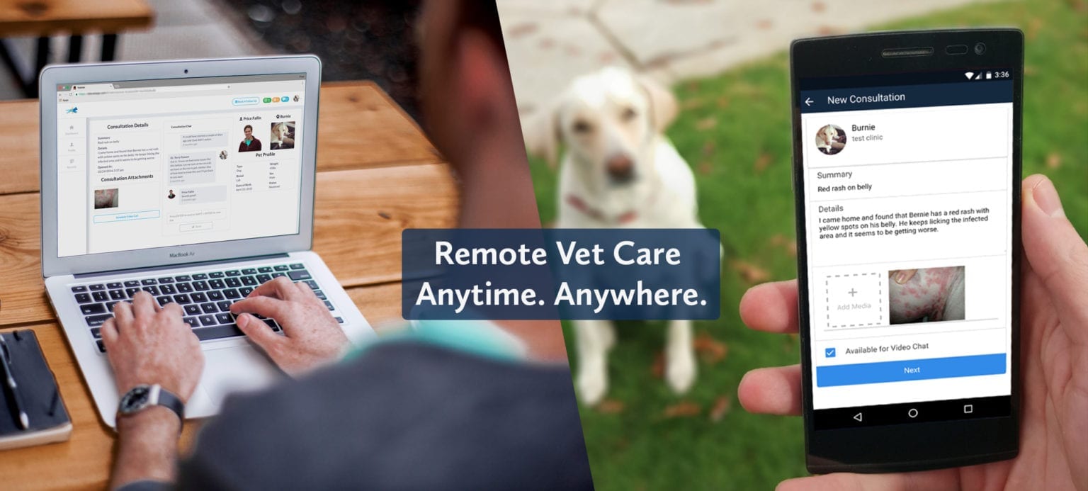 remote vet care graphic
